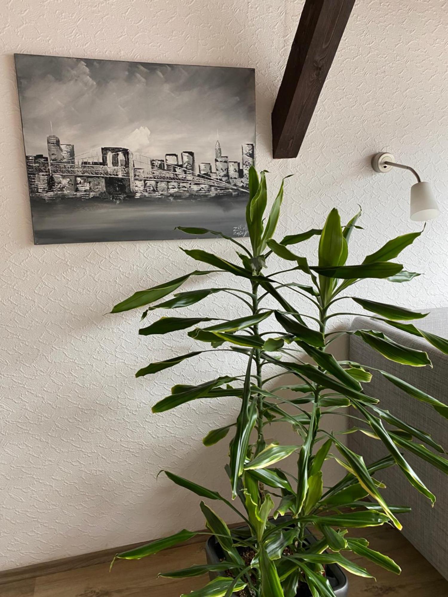 Ferienwohnung Malk トラーベン・トラールバッハ エクステリア 写真